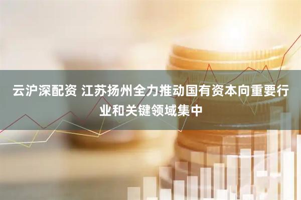 云沪深配资 江苏扬州全力推动国有资本向重要行业和关键领域集中