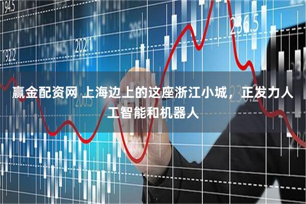 赢金配资网 上海边上的这座浙江小城，正发力人工智能和机器人