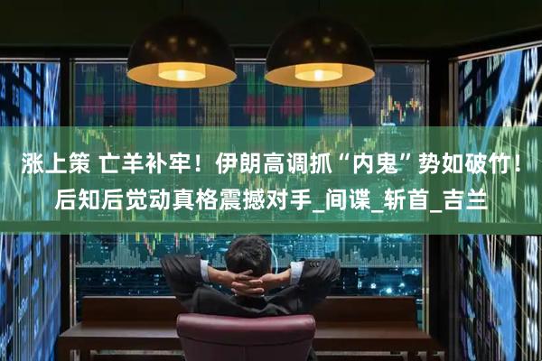涨上策 亡羊补牢！伊朗高调抓“内鬼”势如破竹！后知后觉动真格震撼对手_间谍_斩首_吉兰